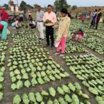 मुख्यमंत्री श्री विष्णु देव साय 21 जून को करेंगे प्रदेशव्यापी चरण पादुका योजना का शुभारंभ