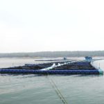 छत्तीसगढ़ में फिशरीज के नये युग की शुरूआत