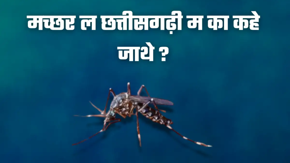 mosquito in chhattisgarhi