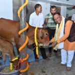 गोवर्धन पूजा के अवसर पर मुख्यमंत्री ने किया गौपूजन, प्रदेशवासियों की सुख-समृद्धि की कामना की