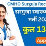 NHM Sarguja Recruitment 2025: सरगुजा स्वास्थ्य विभाग में 134 पदों पर बंपर भर्ती, जानें पूरी जानकारी