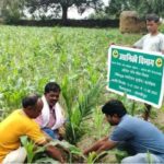 बंदूक की गूंज से फलों और फूलों की महक तक का सफर