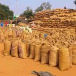 धान खरीदी में नया रिकॉर्ड: 13 जनवरी तक 17.77 लाख किसानों के खातों में पहुंचा ₹23,448 करोड़