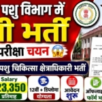 Dantewada AVFO Recruitment 2026: दंतेवाड़ा पशु चिकित्सा विभाग में सहायक क्षेत्राधिकारी के पदों पर संविदा भर्ती, ऐसे करें आवेदन